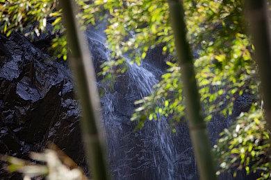 PSN商店显示《幽灵线：东京》将于3月25日发售